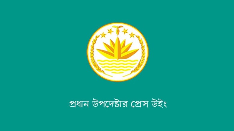 গণভোটের পক্ষে সরকারের প্রকাশ্য সমর্থন নিয়ে সমালোচনা, ব্যাখ্য