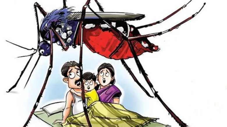 মশা মারতে পুরস্কার ঘোষণা